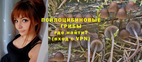 прущая мука Кинешма