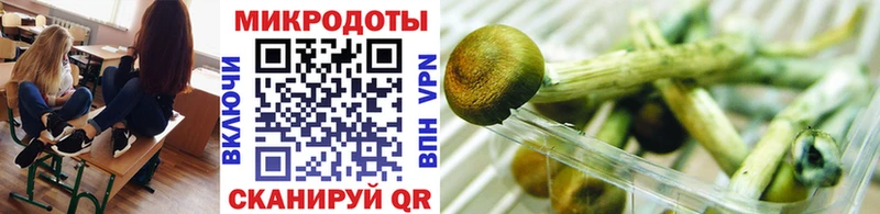 Купить закладки  Кемерово  Галлюциногенные грибы Cubensis 