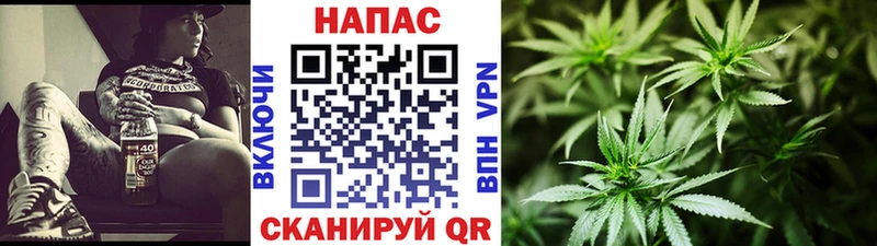 Купить  Кемерово  Бошки Шишки семена 